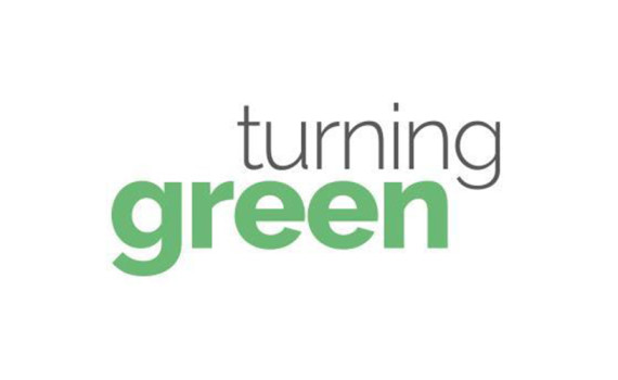 Turn green. Turning Green. Turn Green meaning. Teens turning Green.